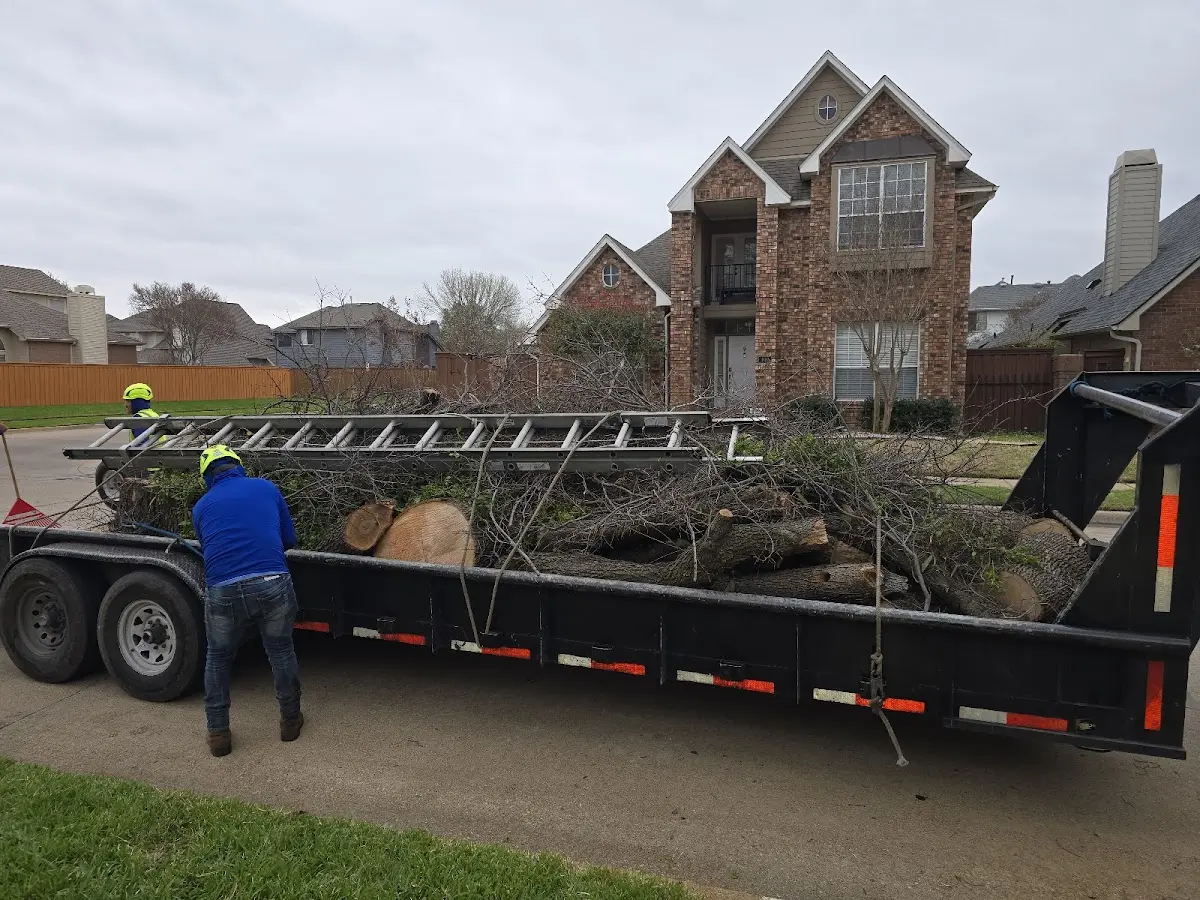 Expert Crown Reduction with proper safety equipment in San Angelo